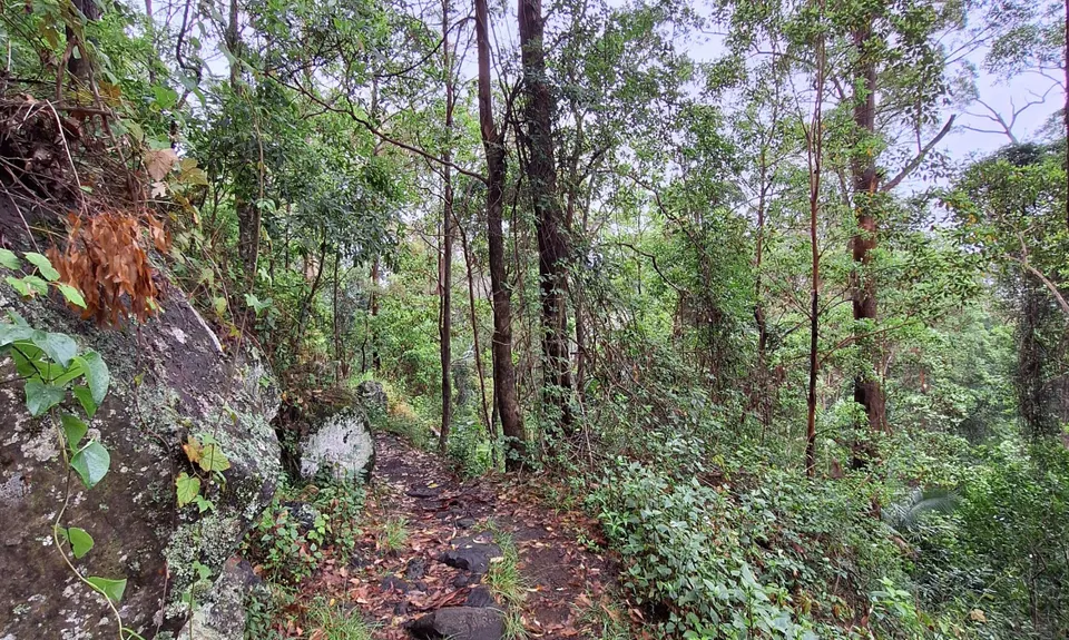 Witchy woo wander, Queensland