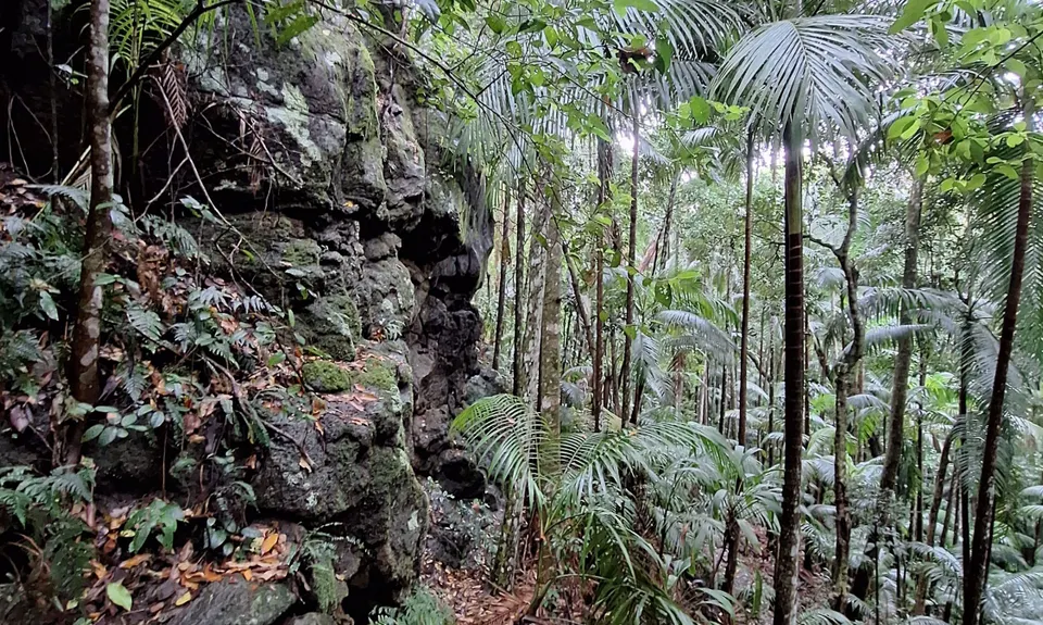 Witchy woo wander, Queensland