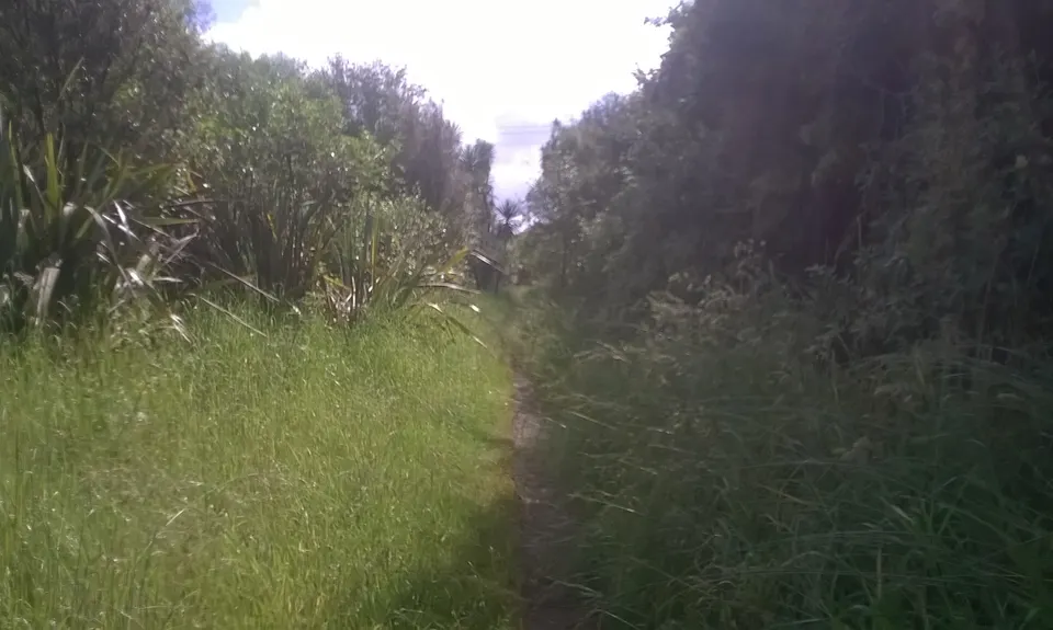 Huka Falls to Aratiatia Dam Loop, Waikato