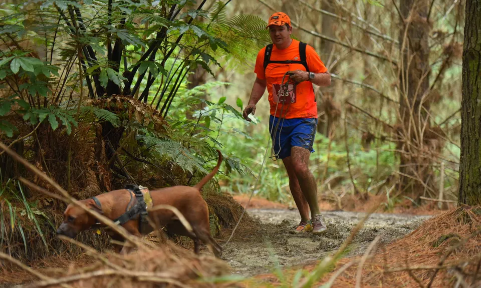 Riverhead Rambling, Auckland
