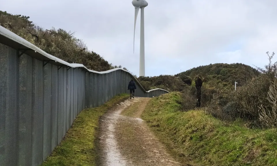 WUU2k - 42km Route, Wellington
