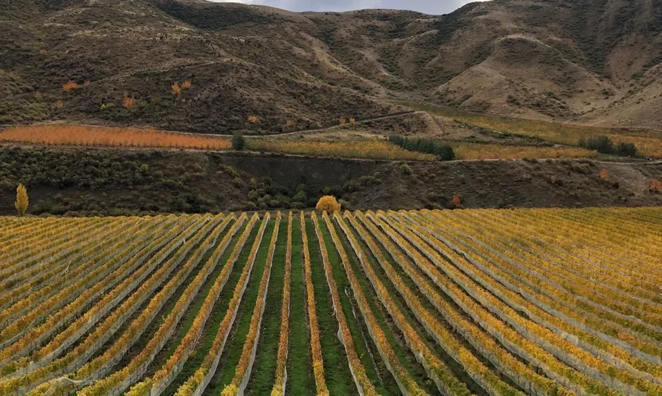 Potters Creek Loop, Otago
