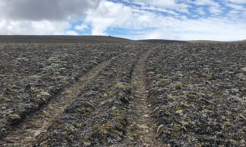 Mt Apiti via Castle Rock , Otago