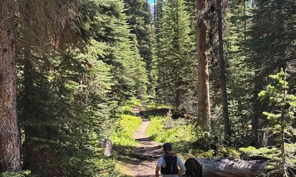 Yoho Iceline Trail, Canada