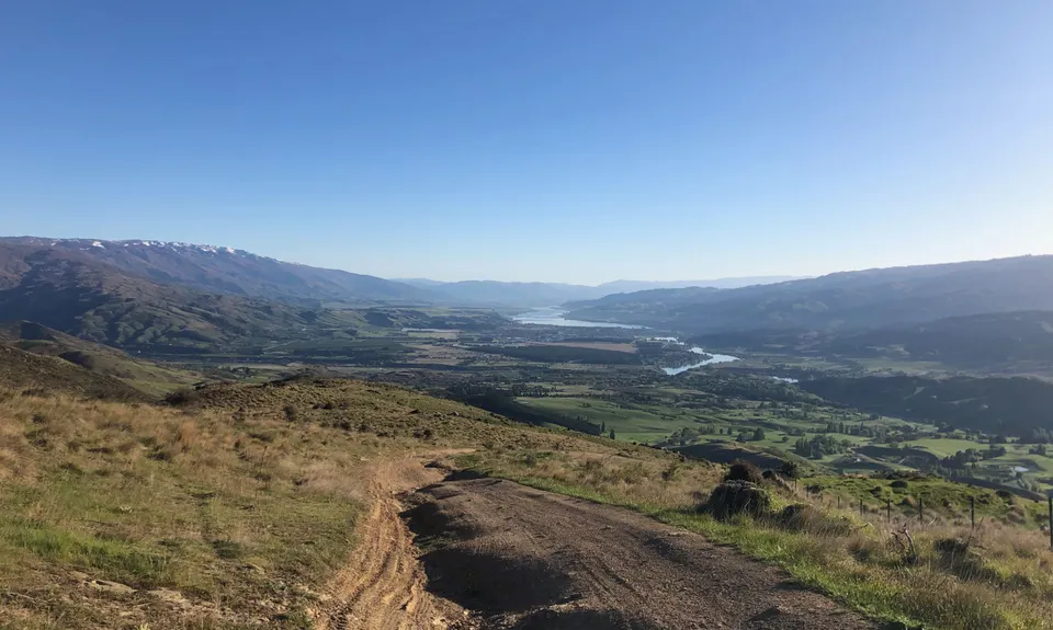 Young Australian, Otago