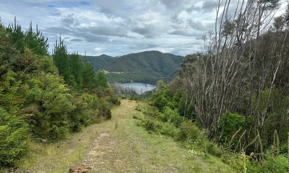 Dew Lakes Climb, Nelson