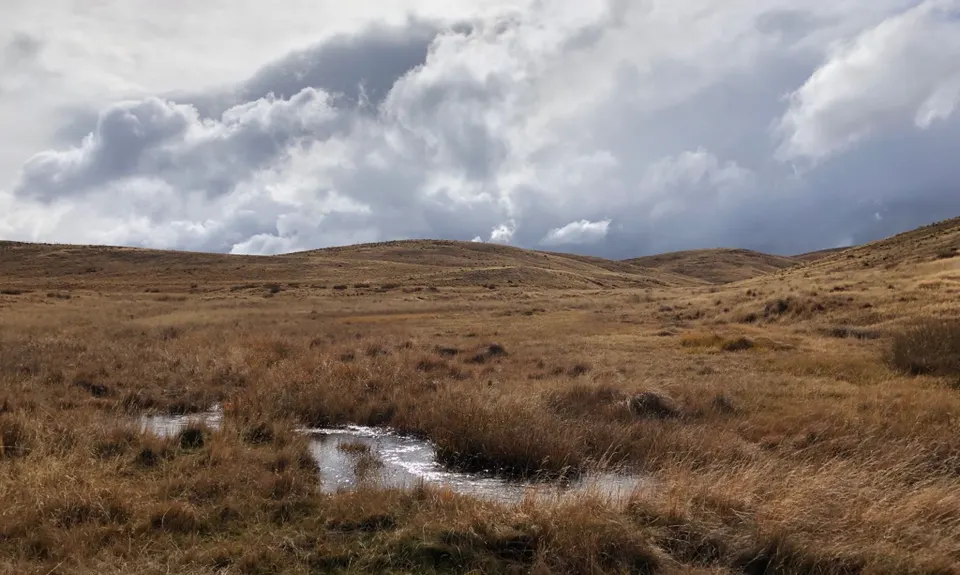 Potters Creek Loop, Otago